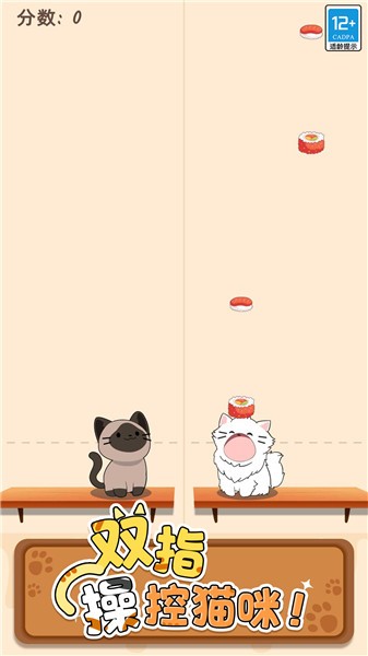 猫咪二重奏中文版  v0.9.19