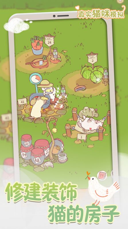 真实猫咪模拟 v1.0