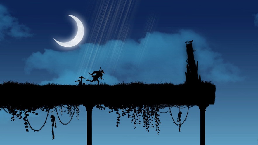 Ninja Arashi中文最新版免费金币  v5.5.1