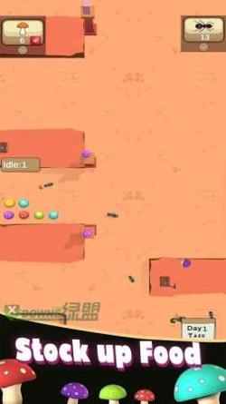 蚁丘的殖民地 v1.8