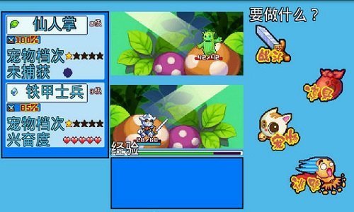 宠物王国5彩虹单机版 v1.0