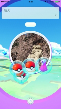 口袋妖怪go日版 v4.0.5