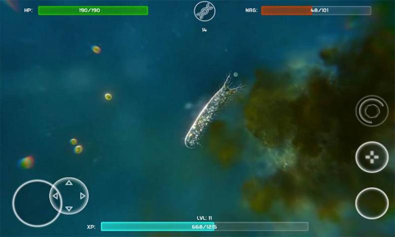 孢子的起源 v40.54