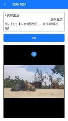 无水印剪辑 2020-08-13 16:10