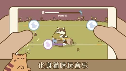 音乐猫咪正版  v1.5