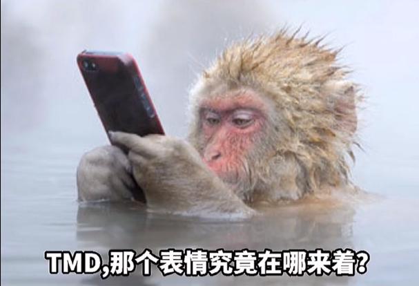 一生一柿情侣头像无水印原图  v1.0