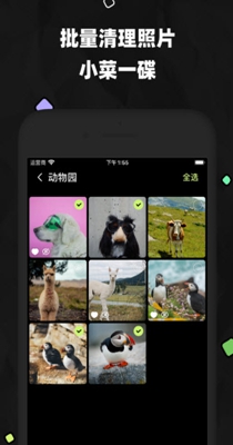 空空相册 v2.1.1
