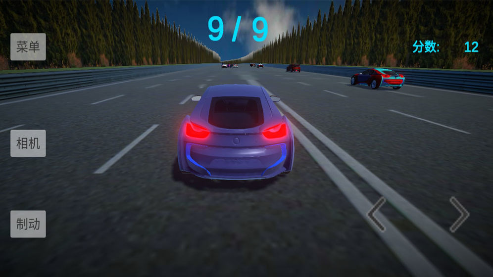 拉力赛车王 v1.0