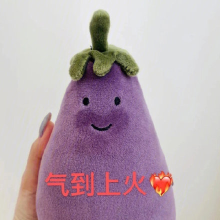 茄总表情包 v1.0