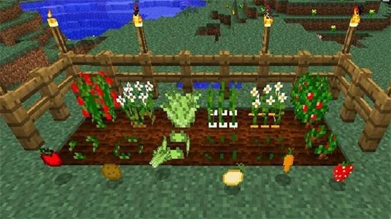 像素方块王者.jpg 像素方块王者.jpg