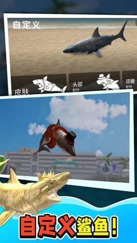 鲨鱼大猎杀中文版  v1