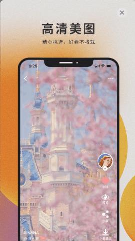 萌猫壁纸手机高清壁纸图片大全APP下载图片1