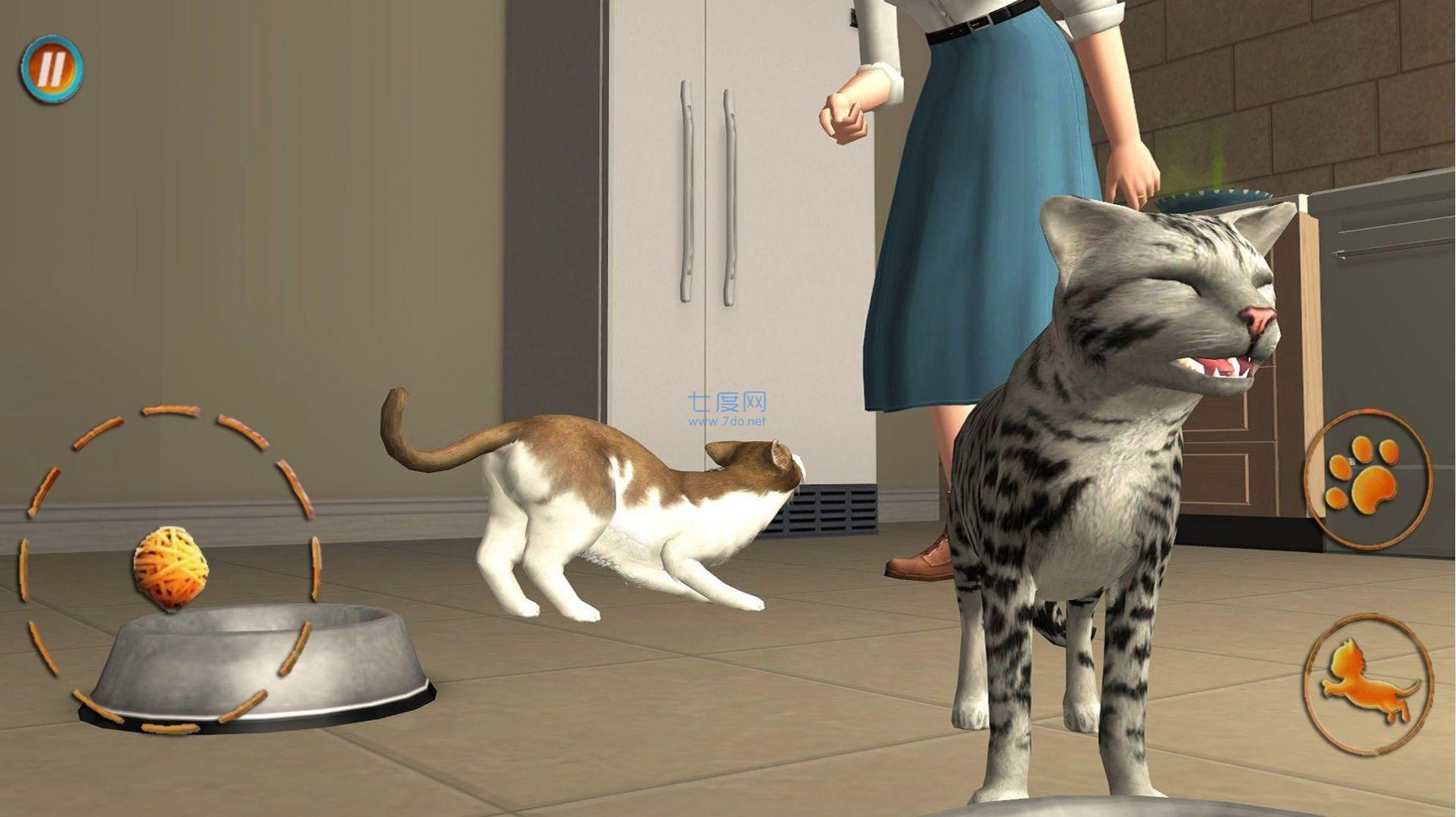 猫咪想恋爱游戏 v300.1.0.3018