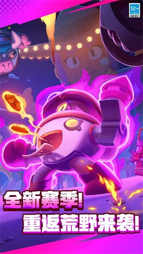 荒野乱斗私人服最新版