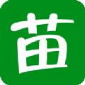 苗交汇