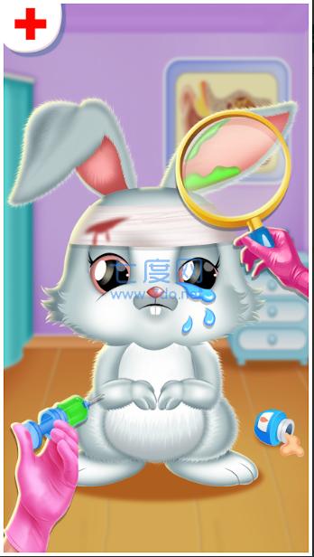 宠物医生护理指南