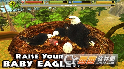 猎鹰模拟游戏 v1.0 安卓版