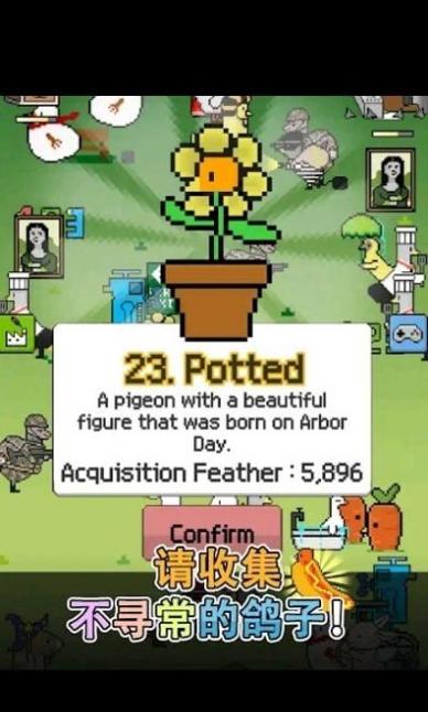 鸽子战争 v3.0.28