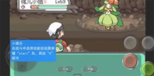 口袋妖怪绿宝石随机版