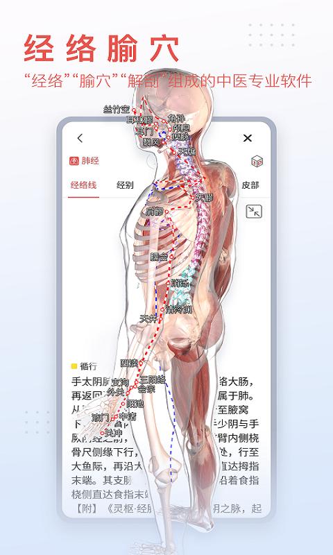3Dbody解剖  v8.7.10