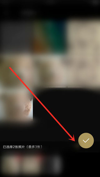 fotor图片编辑器专业版