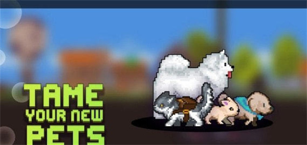 矿工城镇 v2.9.14