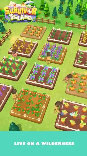 幸存者岛 v1.0.5