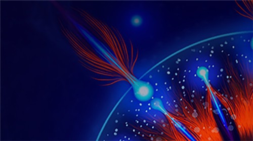 细胞战争手机版  v0.6