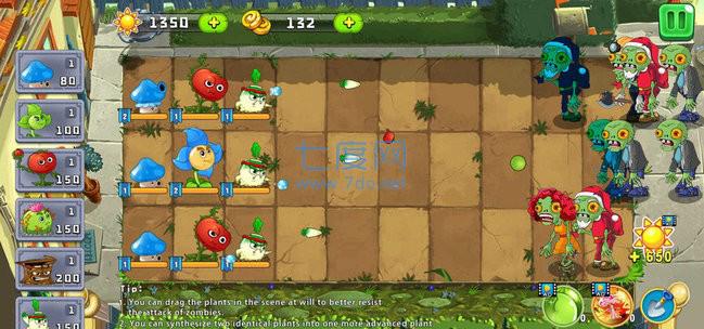 大战僵尸植物保卫战游戏