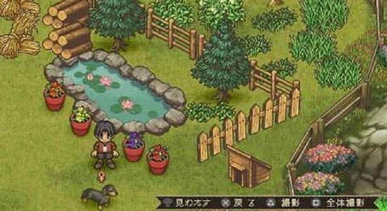 欢迎来到绵羊村手机版