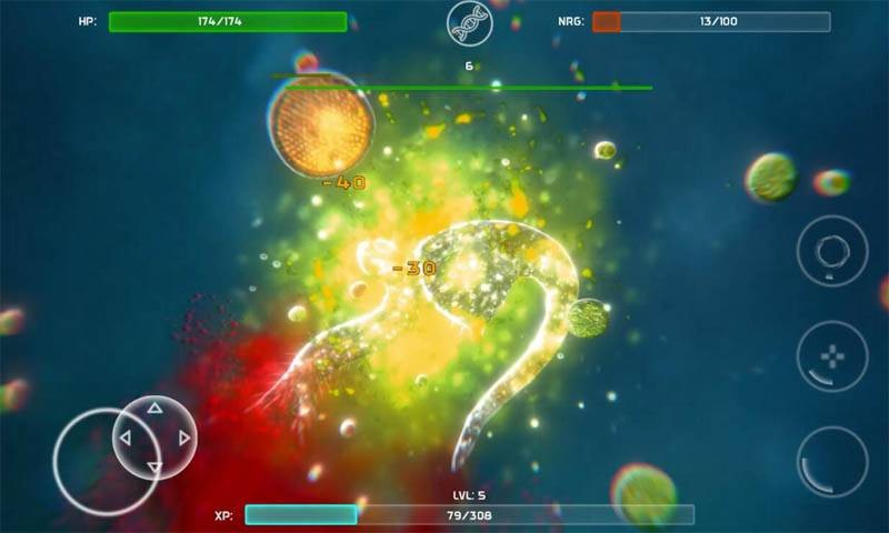 孢子的起源  v40.54