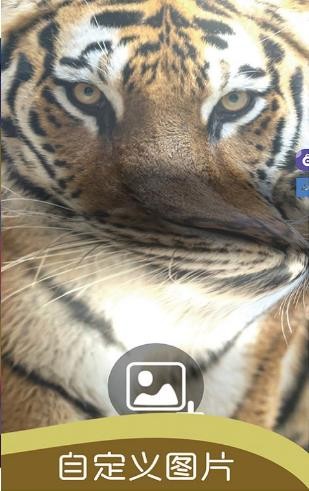 史莱姆开心独角兽 v1.0