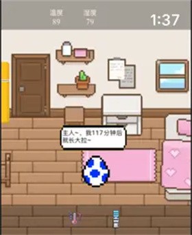 房东的喵  V 1.0