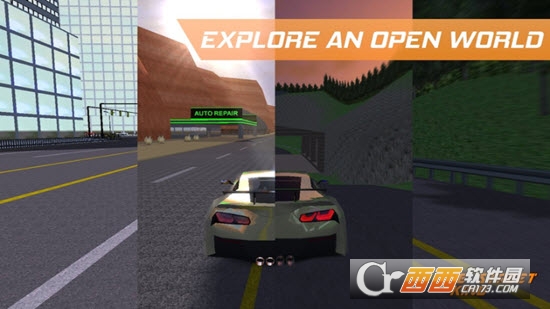 The Street King(街头开放赛车) v0.34 安卓版