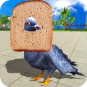 鸽子模拟器中文版