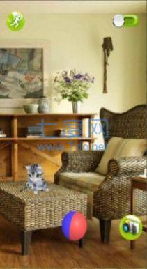 一起来捉猫 v2.5