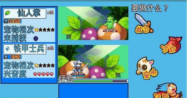 口袋宝贝5彩虹 版本:v2.0附功略