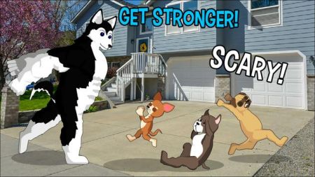 卡通大战狗之战Cartoon Fight Dogs War