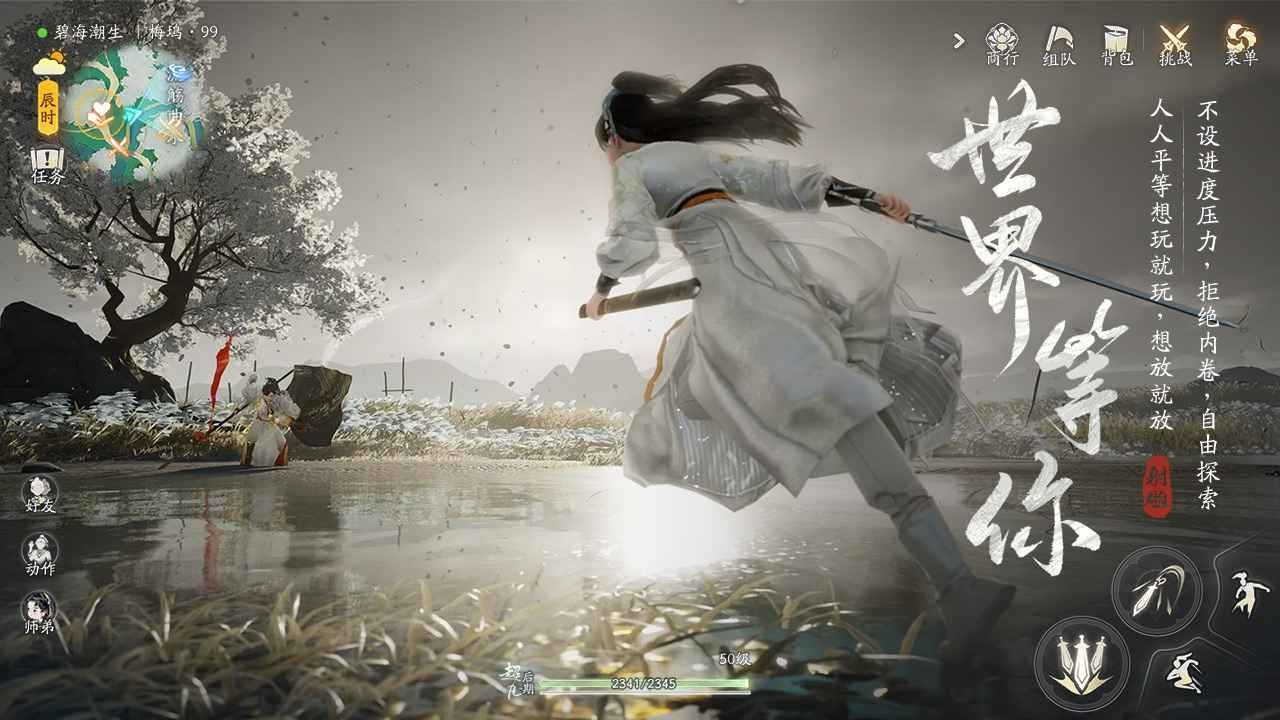 射雕武侠大世界 2024-03-21 13:46