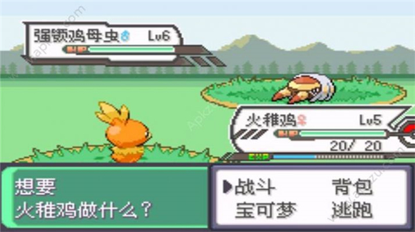 究极绿宝石5.5  v4.4