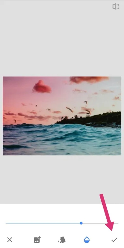 Snapseed小叶子App