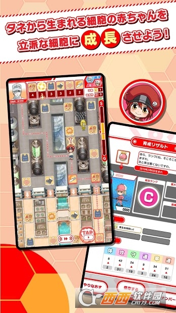 永远的工作细胞截图0