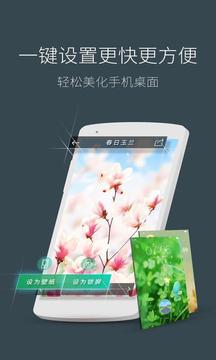 3d蘑菇梦象动态壁纸 v1.6.7