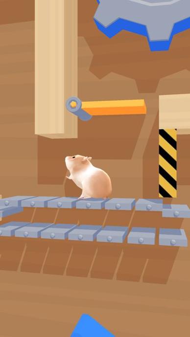 Hamster Maze v1.0.0