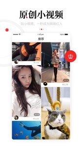 一点资讯  v6.2.8.2