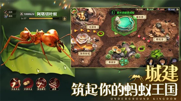 小小蚁国春节版  v1.82.0