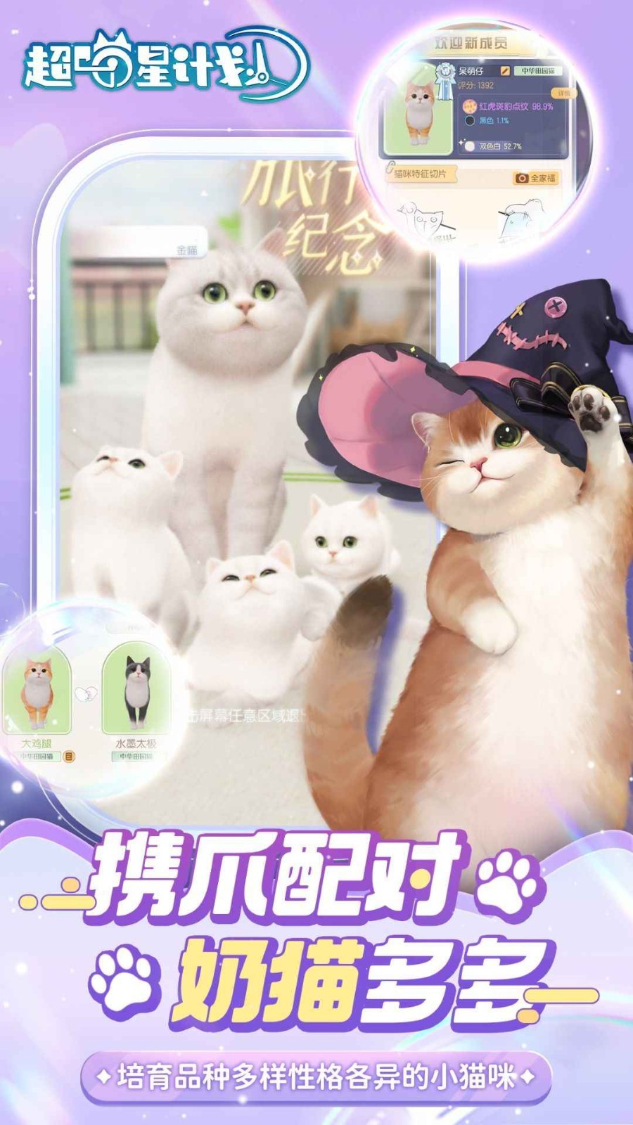 超喵星计划测试服 v53976