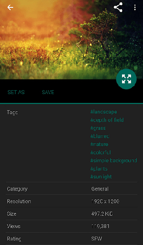 wallhaven v1.6.0