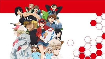 重创的伤口樱花 2024-06-25 15:08