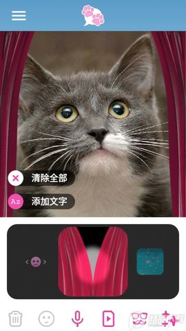 我的宠物会说话截图0